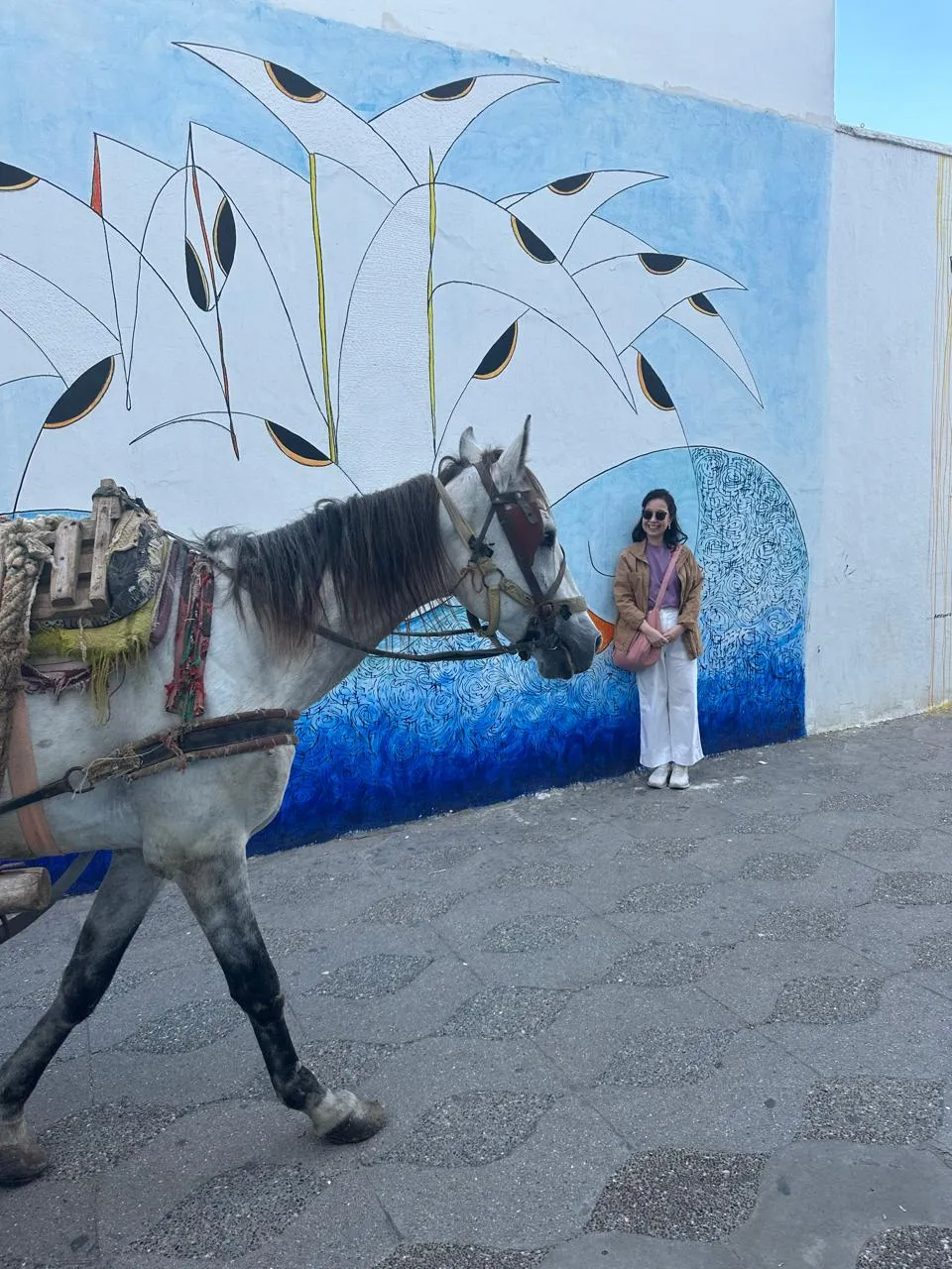 Tanger & Asilah