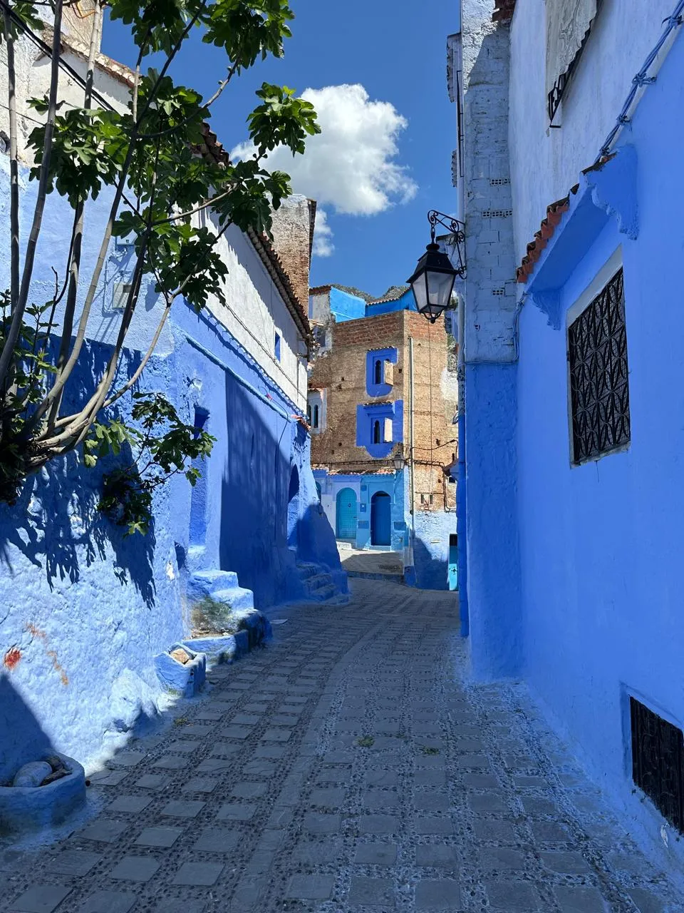 Excursion Chefchaouen